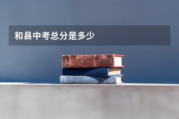 和县中考总分是多少