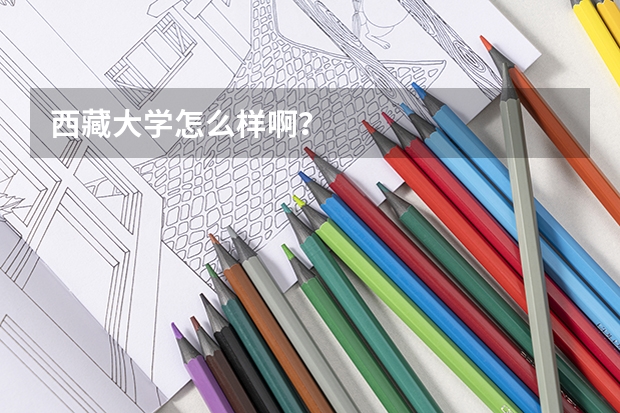 西藏大学怎么样啊?
