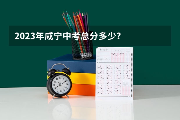 2023年咸宁中考总分多少？