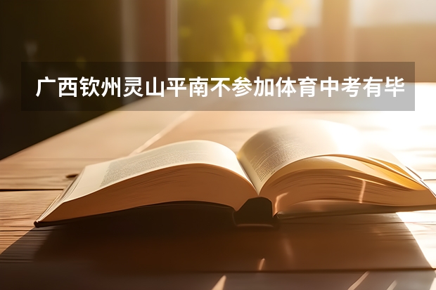 广西钦州灵山平南不参加体育中考有毕业证吗