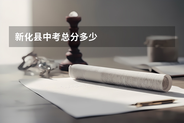 新化县中考总分多少