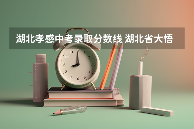 湖北孝感中考录取分数线 湖北省大悟县中考时间