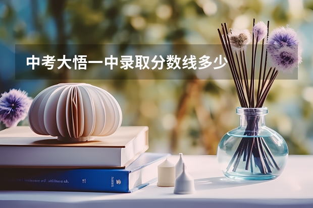 中考大悟一中录取分数线多少