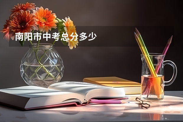 南阳市中考总分多少