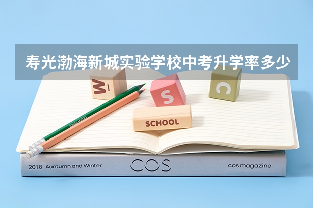 寿光渤海新城实验学校中考升学率多少