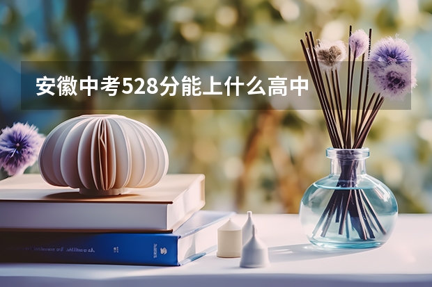 安徽中考528分能上什么高中