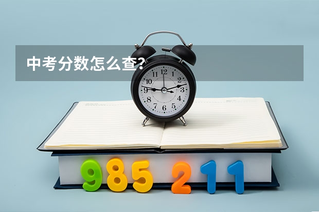 中考分数怎么查？