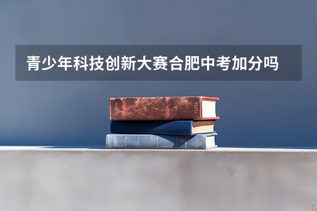 青少年科技创新大赛合肥中考加分吗