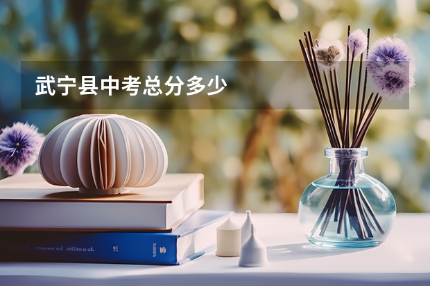 武宁县中考总分多少