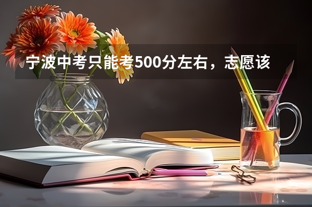 宁波中考只能考500分左右，志愿该怎么填？