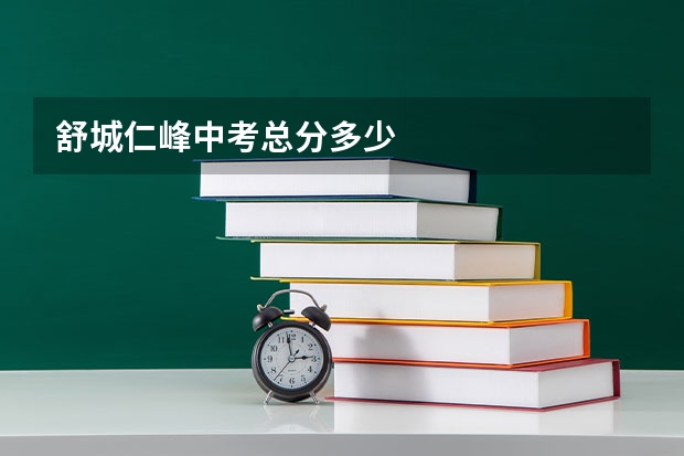 舒城仁峰中考总分多少