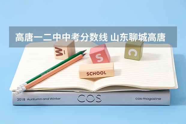 高唐一二中中考分数线 山东聊城高唐中考录取率