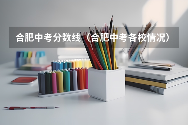 合肥中考分数线（合肥中考各校情况）