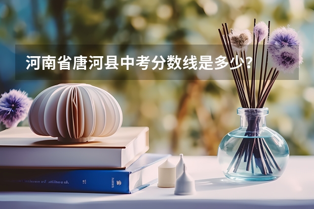 河南省唐河县中考分数线是多少？