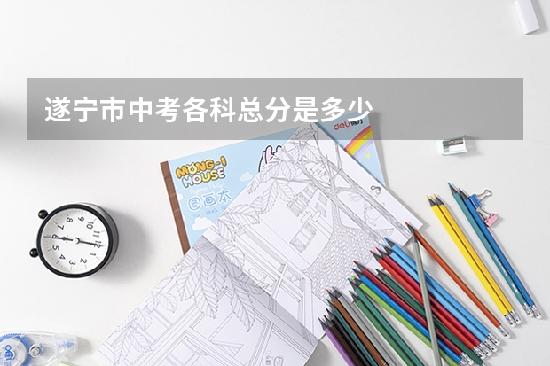 遂宁市中考各科总分是多少