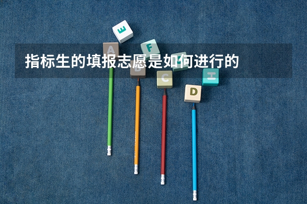 指标生的填报志愿是如何进行的