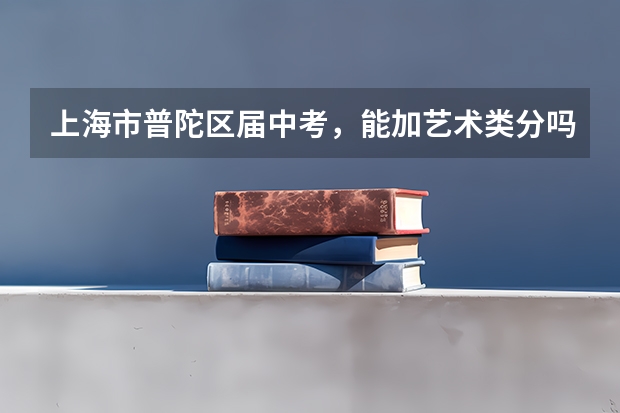 上海市普陀区届中考，能加艺术类分吗？古筝8级。如果可以，能加几分？