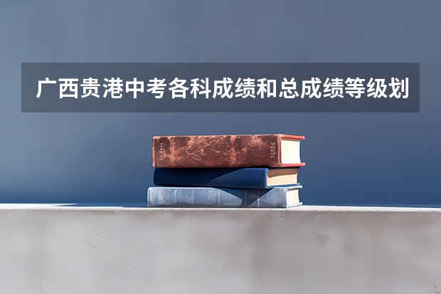 广西贵港中考各科成绩和总成绩等级划分是怎样的（桂平中考的录取分数线？）