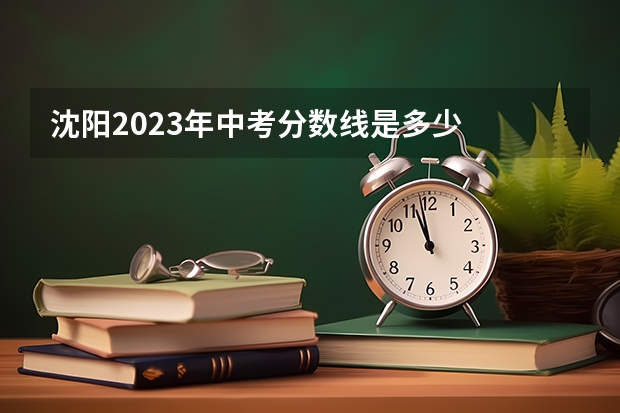 沈阳2023年中考分数线是多少
