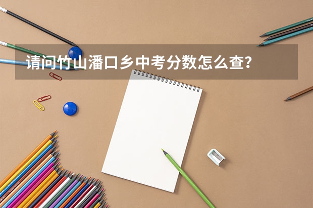 请问竹山潘口乡中考分数怎么查？