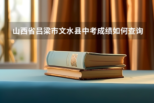 山西省吕梁市文水县中考成绩如何查询