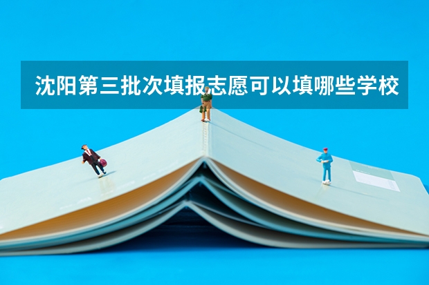 沈阳第三批次填报志愿可以填哪些学校