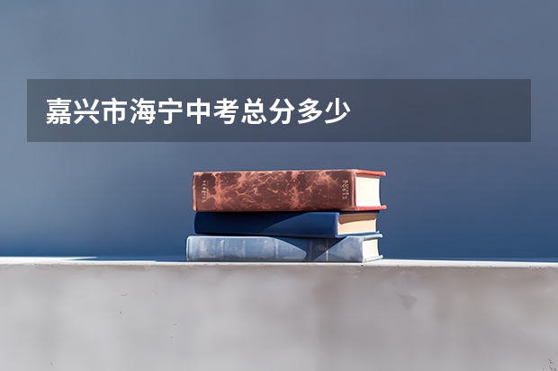 嘉兴市海宁中考总分多少