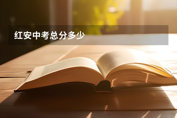 红安中考总分多少