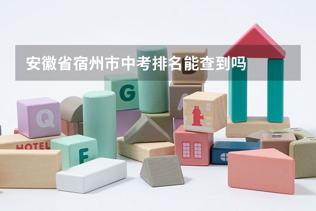 安徽省宿州市中考排名能查到吗