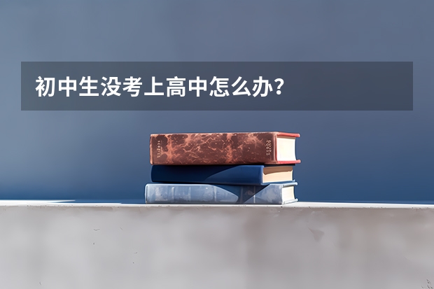 初中生没考上高中怎么办？