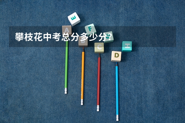 攀枝花中考总分多少分？