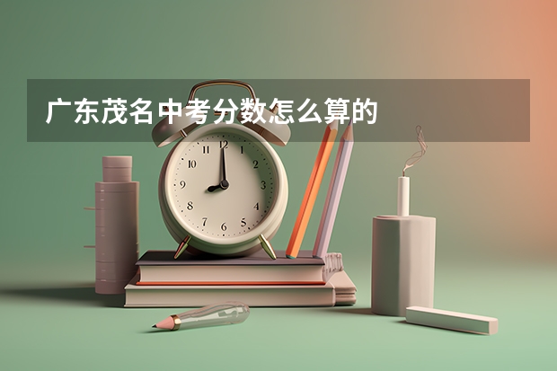 广东茂名中考分数怎么算的