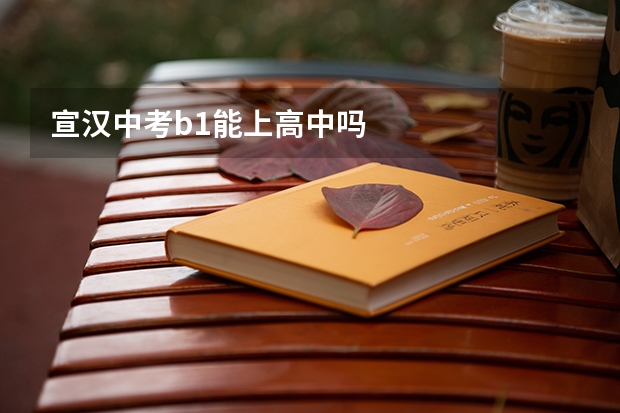 宣汉中考b1能上高中吗