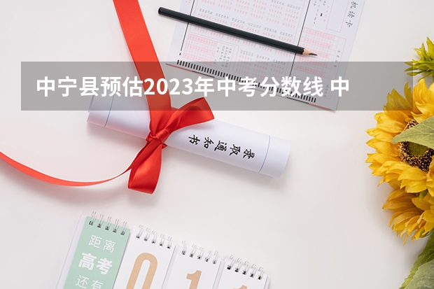 中宁县预估2023年中考分数线 中宁县 中宁五中 九五班 马维国的中考成绩