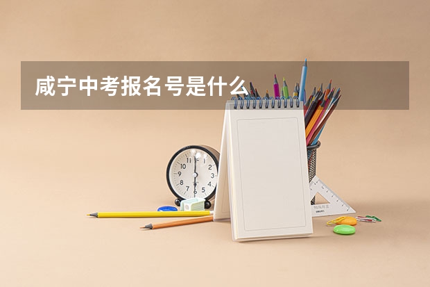 咸宁中考报名号是什么