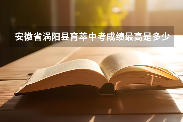 安徽省涡阳县育萃中考成绩最高是多少