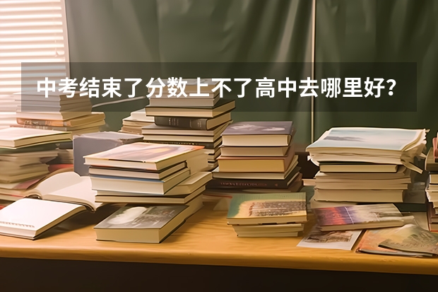 中考结束了分数上不了高中去哪里好？