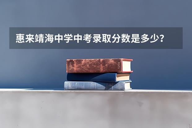 惠来靖海中学中考录取分数是多少？