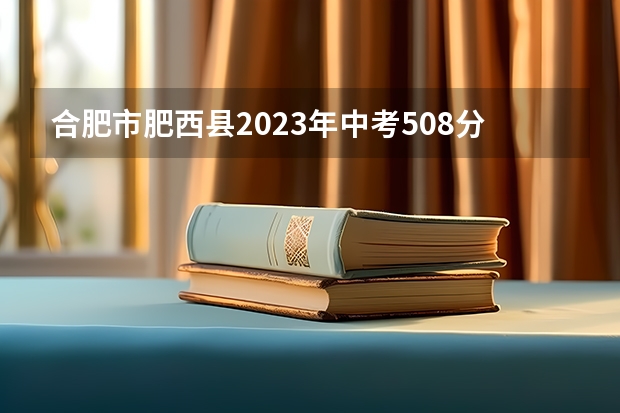 合肥市肥西县2023年中考508分能上什么学校