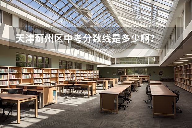 天津蓟州区中考分数线是多少啊？