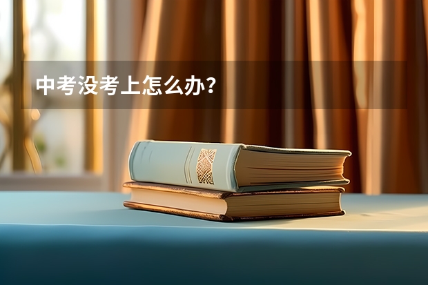 中考没考上怎么办？