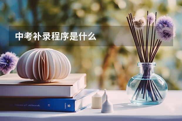 中考补录程序是什么