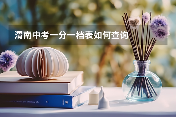 渭南中考一分一档表如何查询