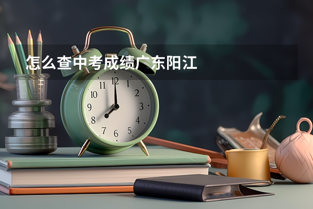 怎么查中考成绩广东阳江
