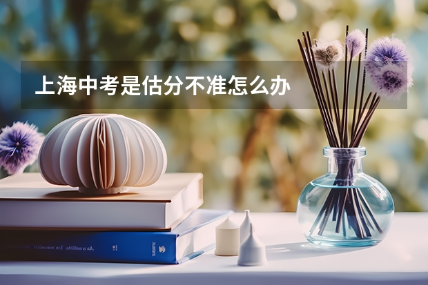上海中考是估分不准怎么办