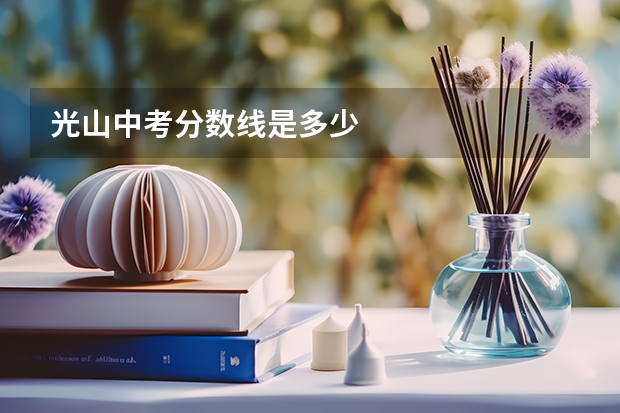 光山中考分数线是多少