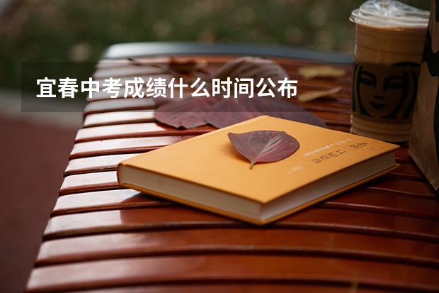 宜春中考成绩什么时间公布