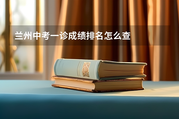 兰州中考一诊成绩排名怎么查