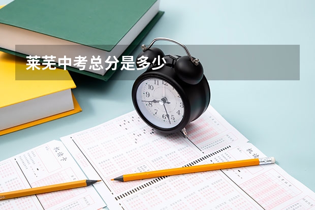 莱芜中考总分是多少