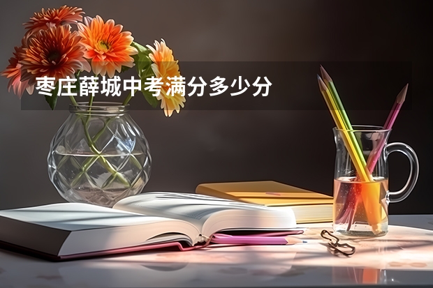 枣庄薛城中考满分多少分